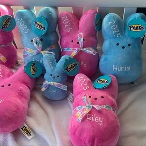 Peeps Plush Bunny Set - Pink and Blue- CUSTOM WITH NAMES AND YEAR